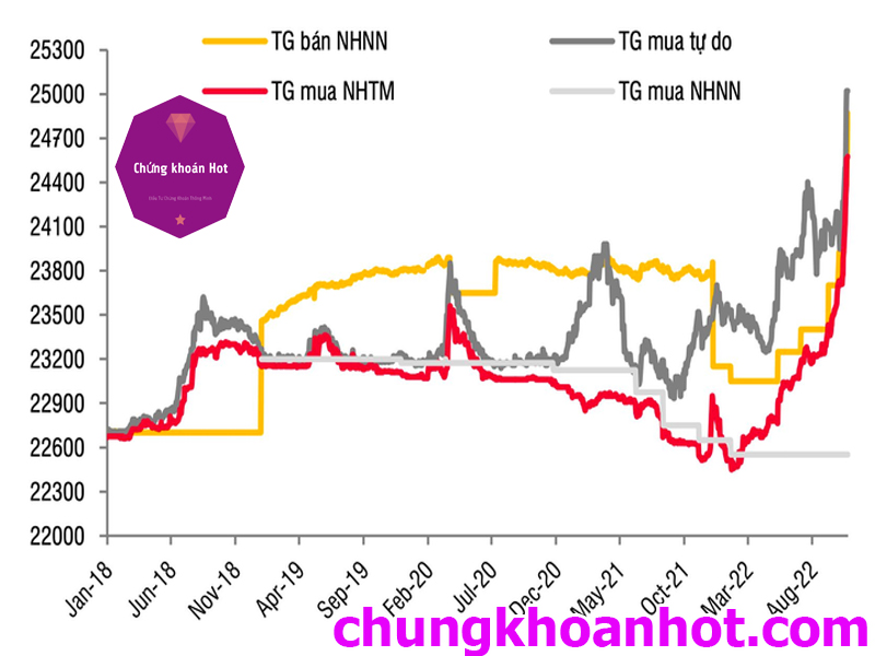 Tỷ giá hối đoái của Việt Nam qua các thời kỳ